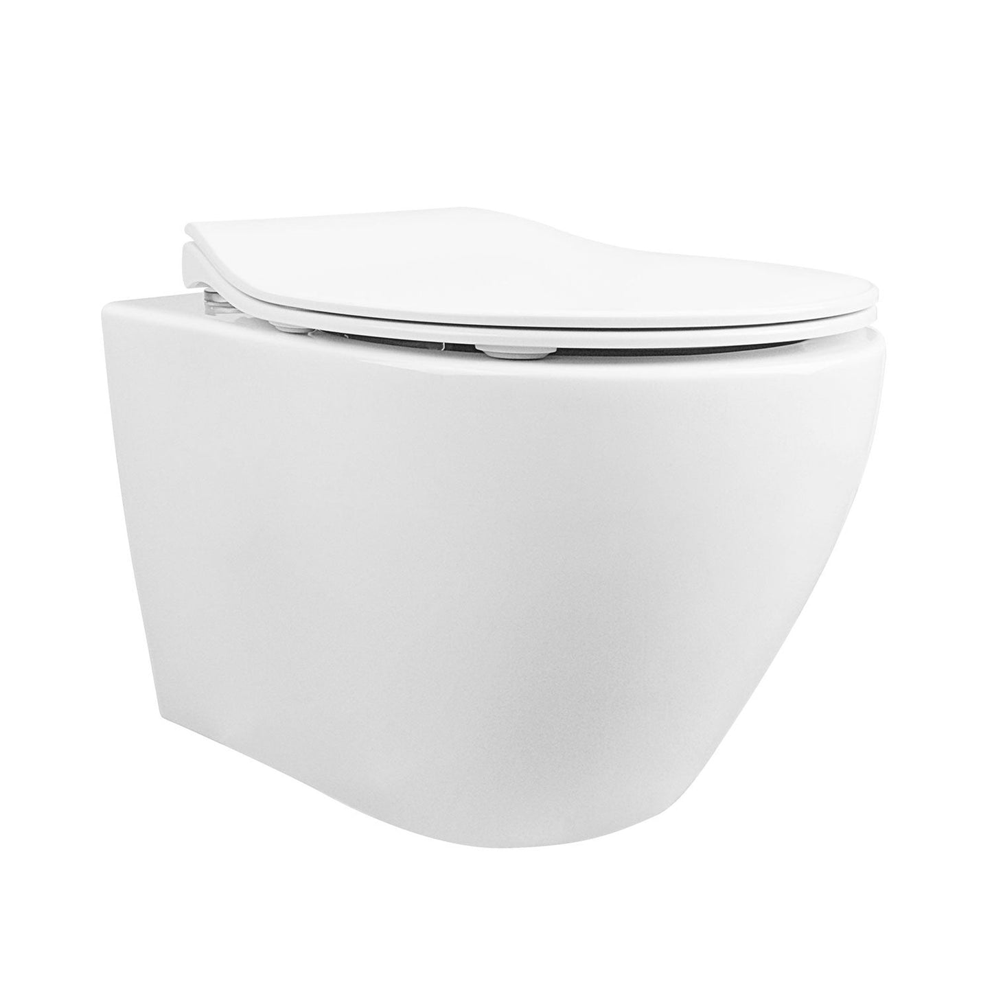 DeerValley Liberty 1.1/1.6GPF Dual-Flush Elongated White Wall-Mounted Toilet With Concealed In-Wall Toilet Tank