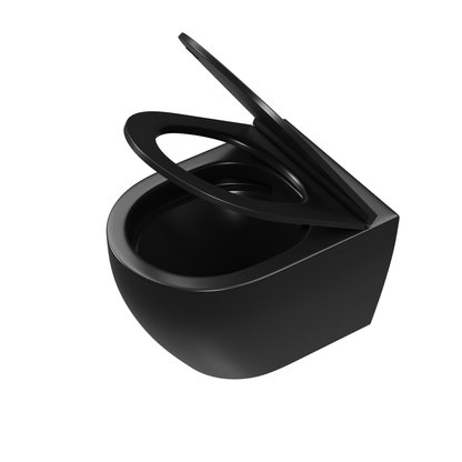 DeerValley Liberty 1.1/1.6GPF Siphon Flushing Elongated Black Wall-Mounted Toilet With Concealed In-Wall Toilet Tank