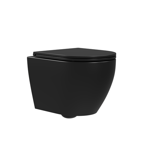 DeerValley Liberty 1.1/1.6GPF Siphon Flushing Elongated Black Wall-Mounted Toilet