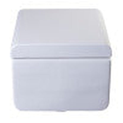 Eago Modern Wall Mount Dual Flush 21" Square Toilet