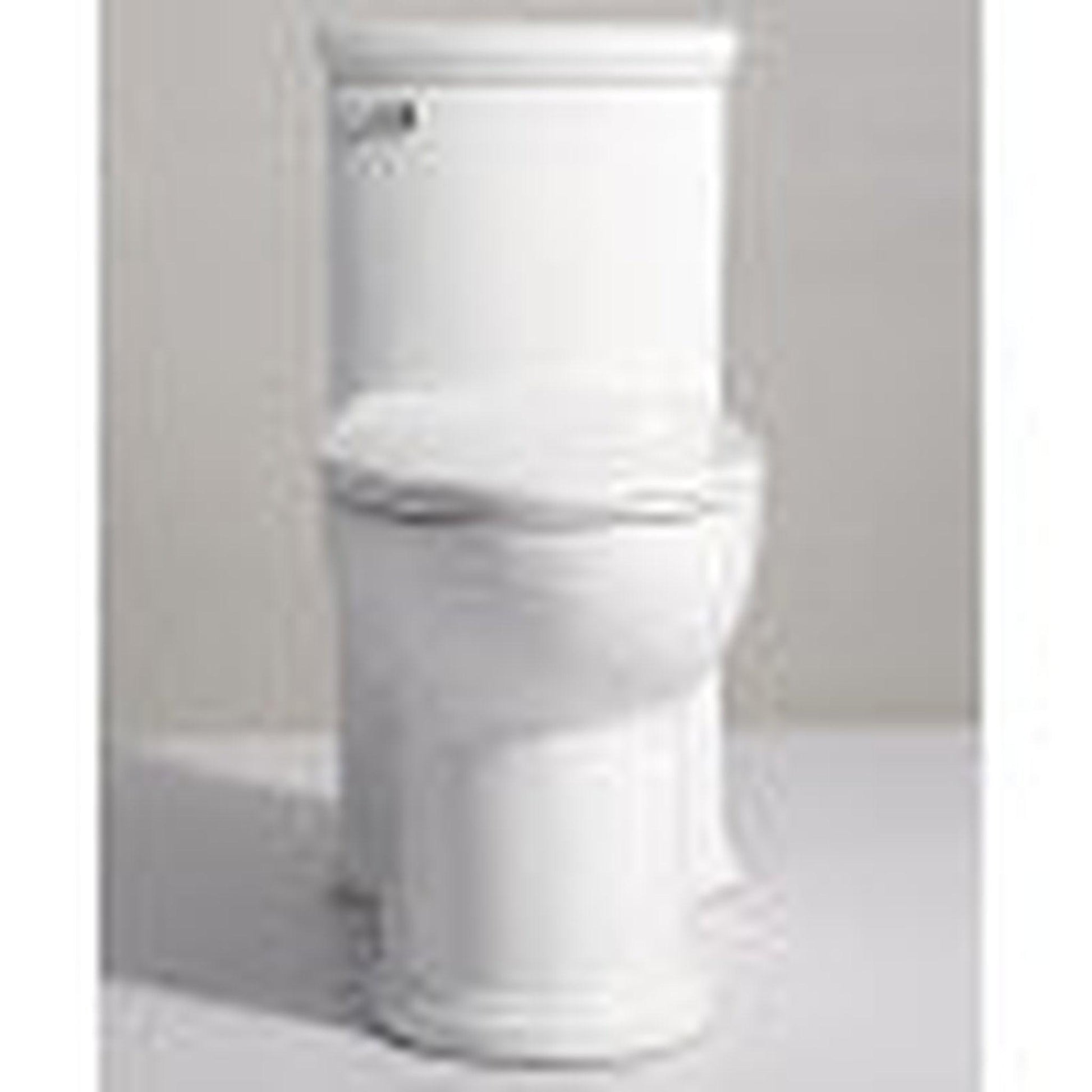 Eago One Piece Single Flush White Toilet