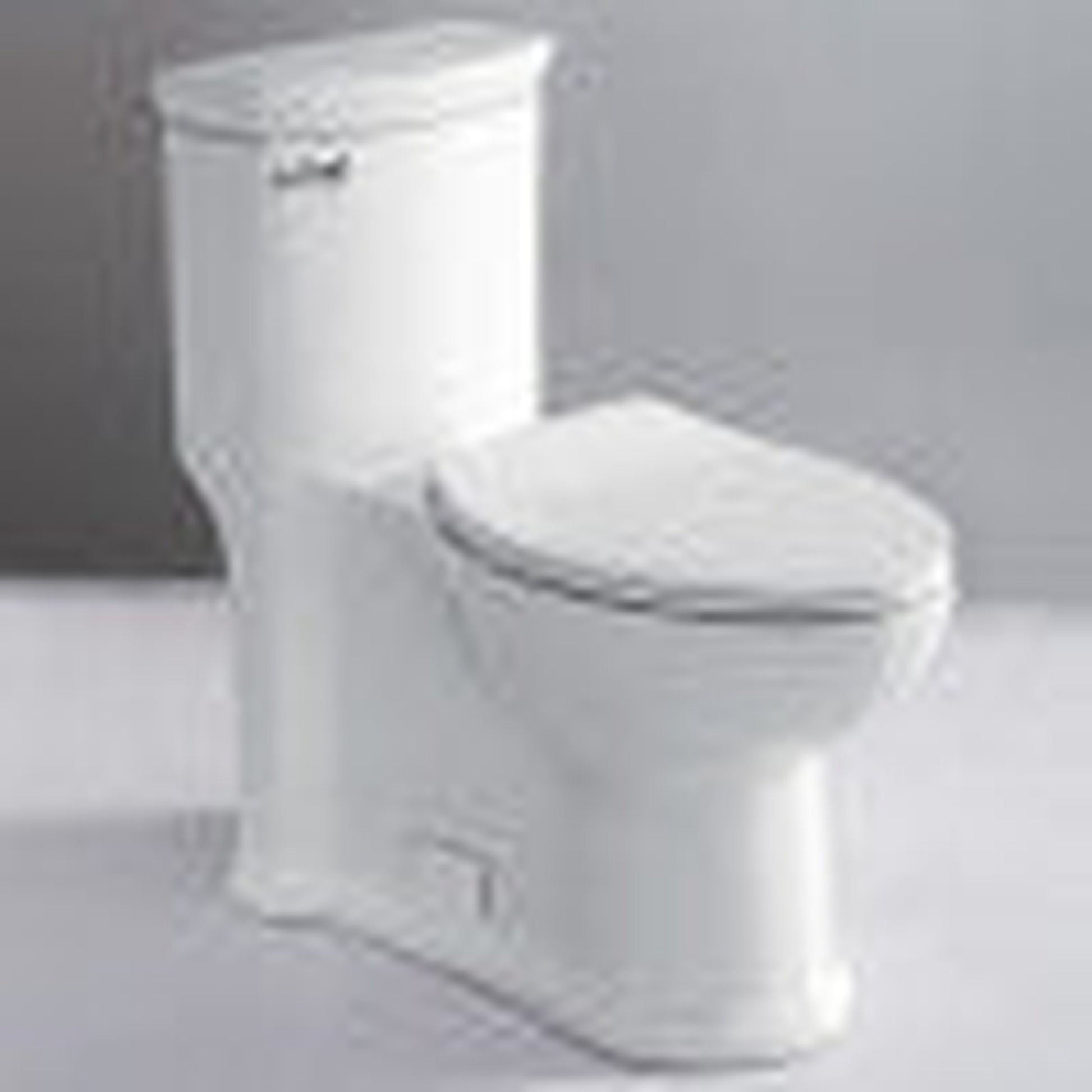 Eago One Piece Single Flush White Toilet