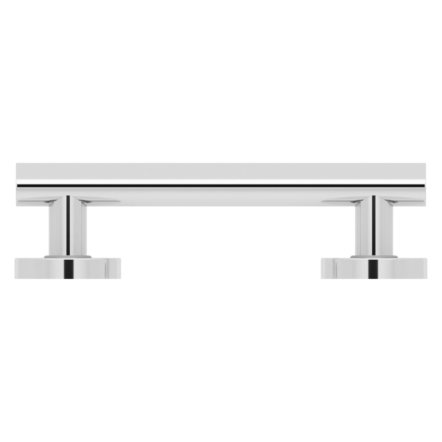 Evekare 12" Polished Stainless Steel Concealed Mount Grab Bar With Integrated Toilet Roll Holder