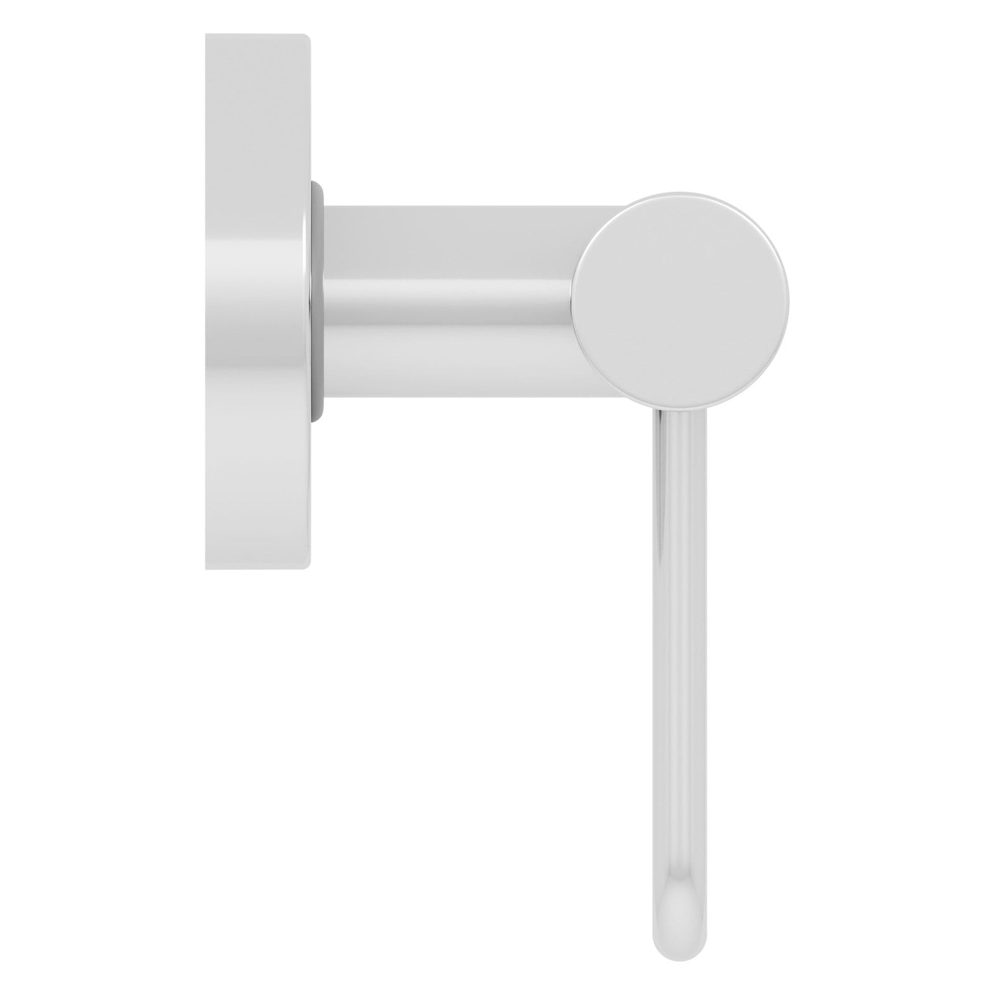 Evekare 12" Polished Stainless Steel Concealed Mount Grab Bar With Integrated Toilet Roll Holder