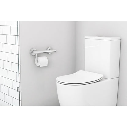 Evekare 12" Polished Stainless Steel Concealed Mount Grab Bar With Integrated Toilet Roll Holder