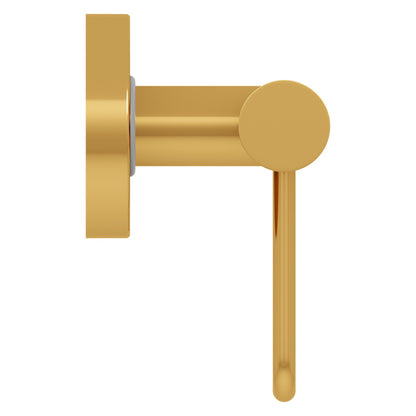 Evekare 12" Stainless Steel Concealed Mount Grab Bar With Integrated Toilet Roll Holder in Gold