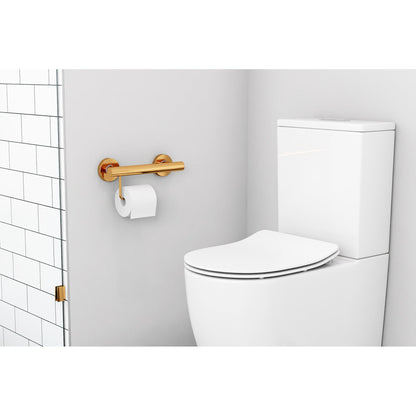 Evekare 12" Stainless Steel Concealed Mount Grab Bar With Integrated Toilet Roll Holder in Gold