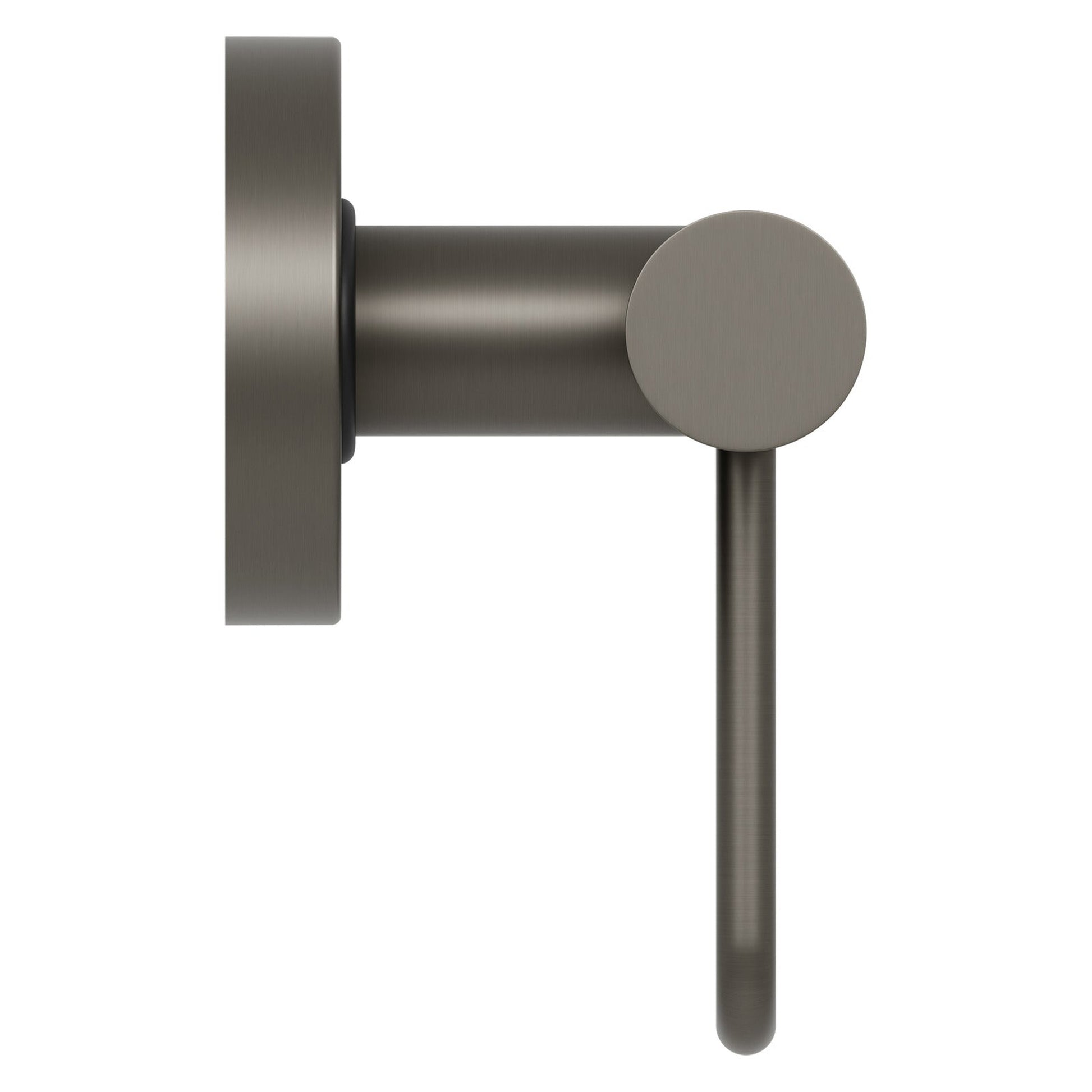 Evekare 12" Stainless Steel Concealed Mount Grab Bar With Integrated Toilet Roll Holder in Gunmetal