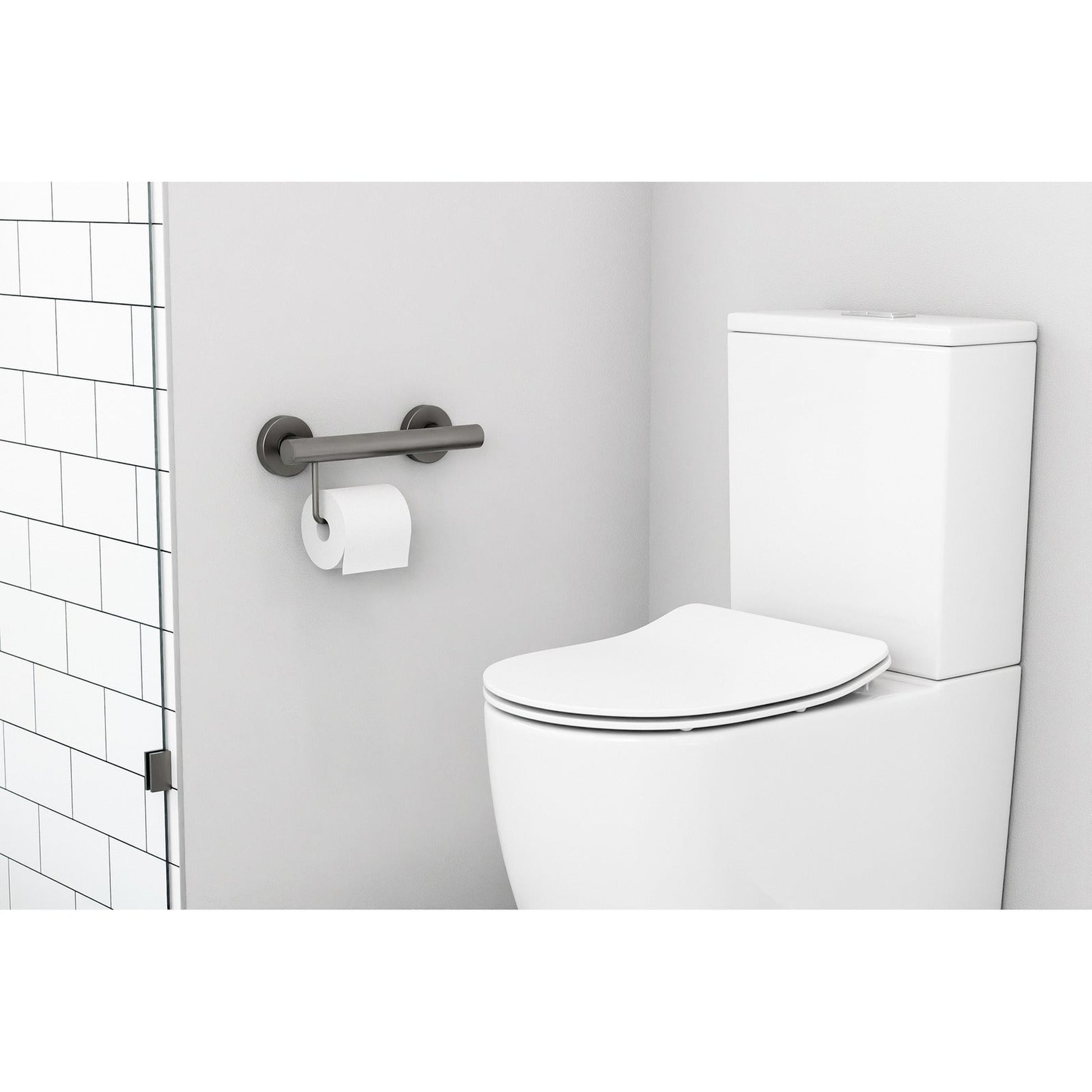 Evekare 12" Stainless Steel Concealed Mount Grab Bar With Integrated Toilet Roll Holder in Gunmetal