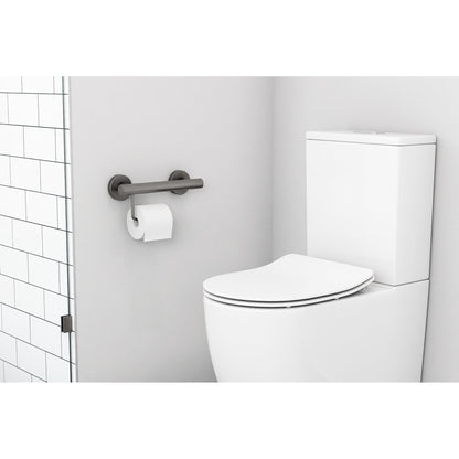 Evekare 12" Stainless Steel Concealed Mount Grab Bar With Integrated Toilet Roll Holder in Gunmetal