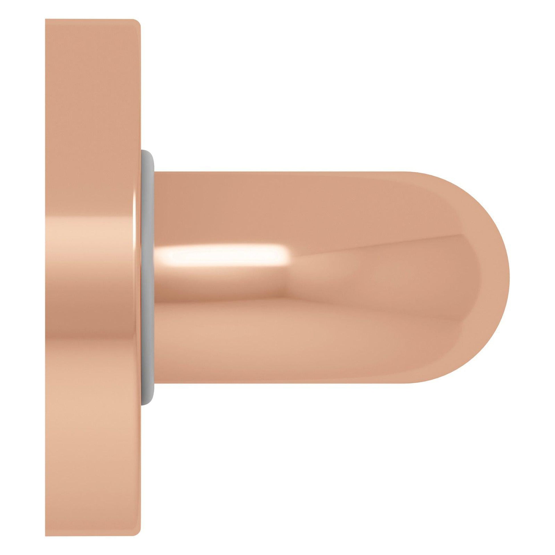 Evekare 18" x 1.25" Stainless Steel Concealed Mount Grab Bar in Rose Gold