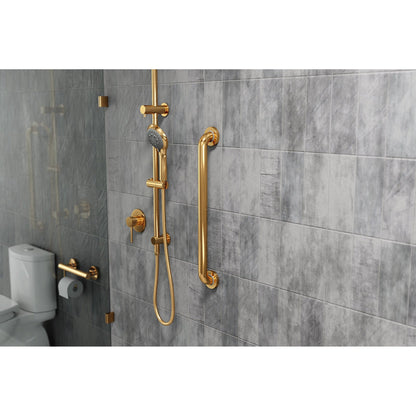Evekare 24" x 1.5" Stainless Steel Concealed Mount Grab Bar in Gold