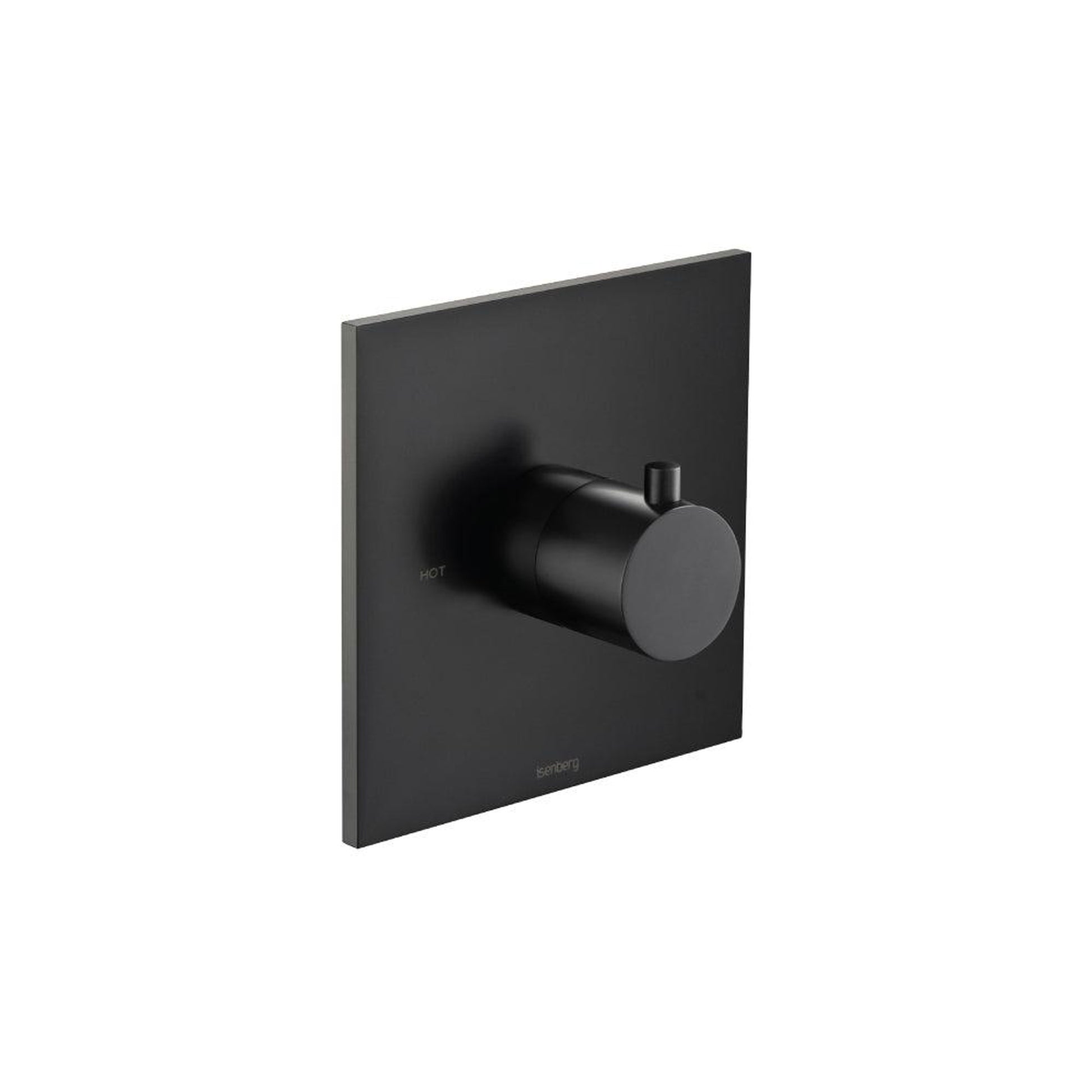 Flusso Faucets Serie 100 Single Output Trim for 3/4" Thermostatic Valve in Matte Black