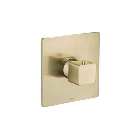 Flusso Faucets Serie 196 3/4" Single Output Thermostatic Valve With Trim in Satin Brass