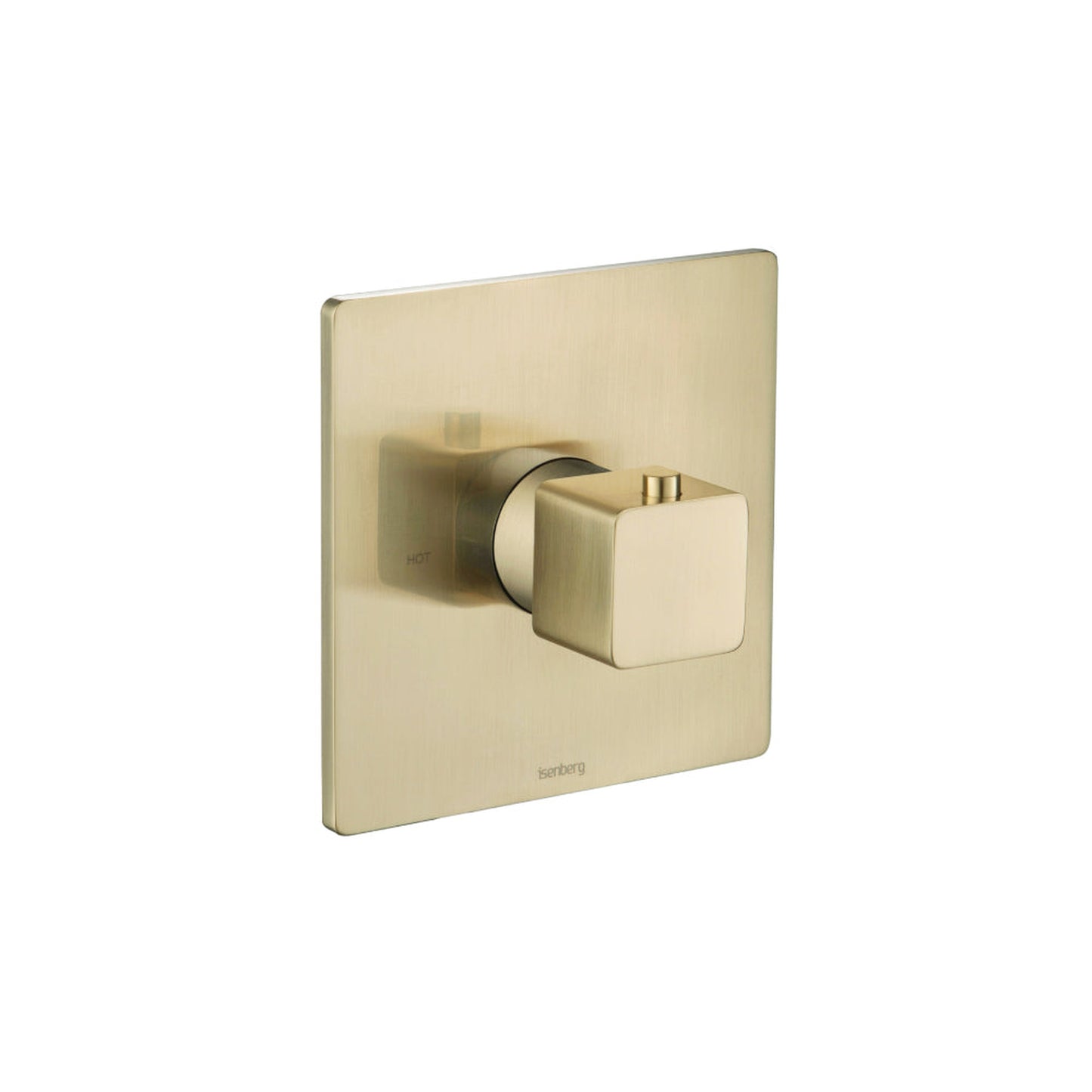 Flusso Faucets Serie 196 Single Output Trim for 3/4" Thermostatic Valve in Satin Brass