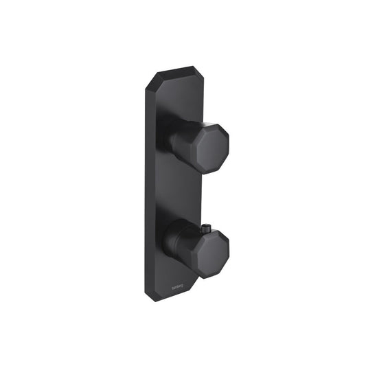 Flusso Faucets Serie 230 3/4" Two Output Thermostatic Shower Valve and Trim in Matte Black