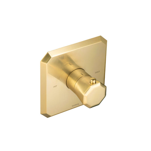 Flusso Faucets Serie 230 Single Output Trim for 3/4" Thermostatic Valve in Satin Brass