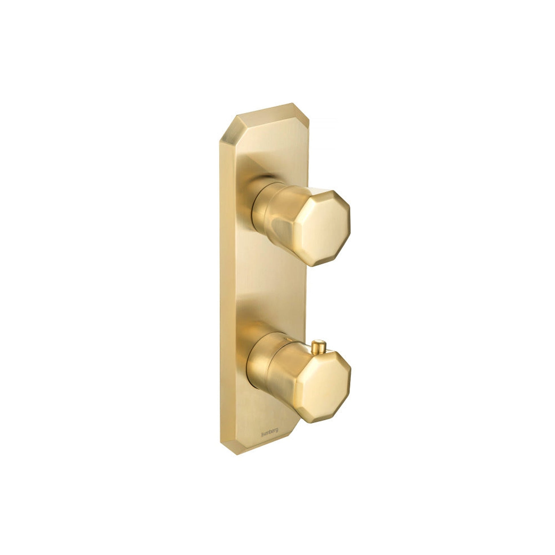 Flusso Faucets Serie 230 Trim for Thermostatic Valve in Satin Brass