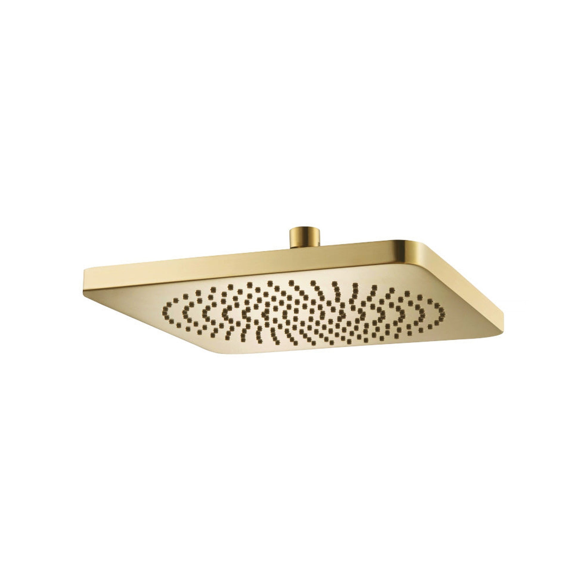 Flusso Faucets Universal Fixtures 10" Solid Brass Showerhead / Rainhead in Satin Brass