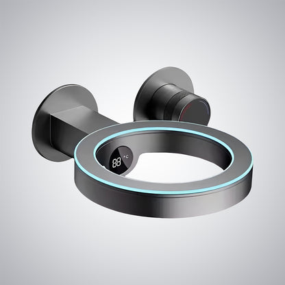 Fontana Saint-Lo LED Digital Display Single Handle Brass Gun Metal Faucet