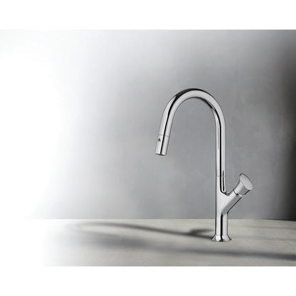 Fortis 6459100PC Cicero Polished Chrome Single Control Pull-Down Kitchen Faucet