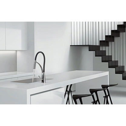 Fortis AC54200PC Julius Polished Chrome Culinary Single Handle Pull-Down Kitchen Faucet