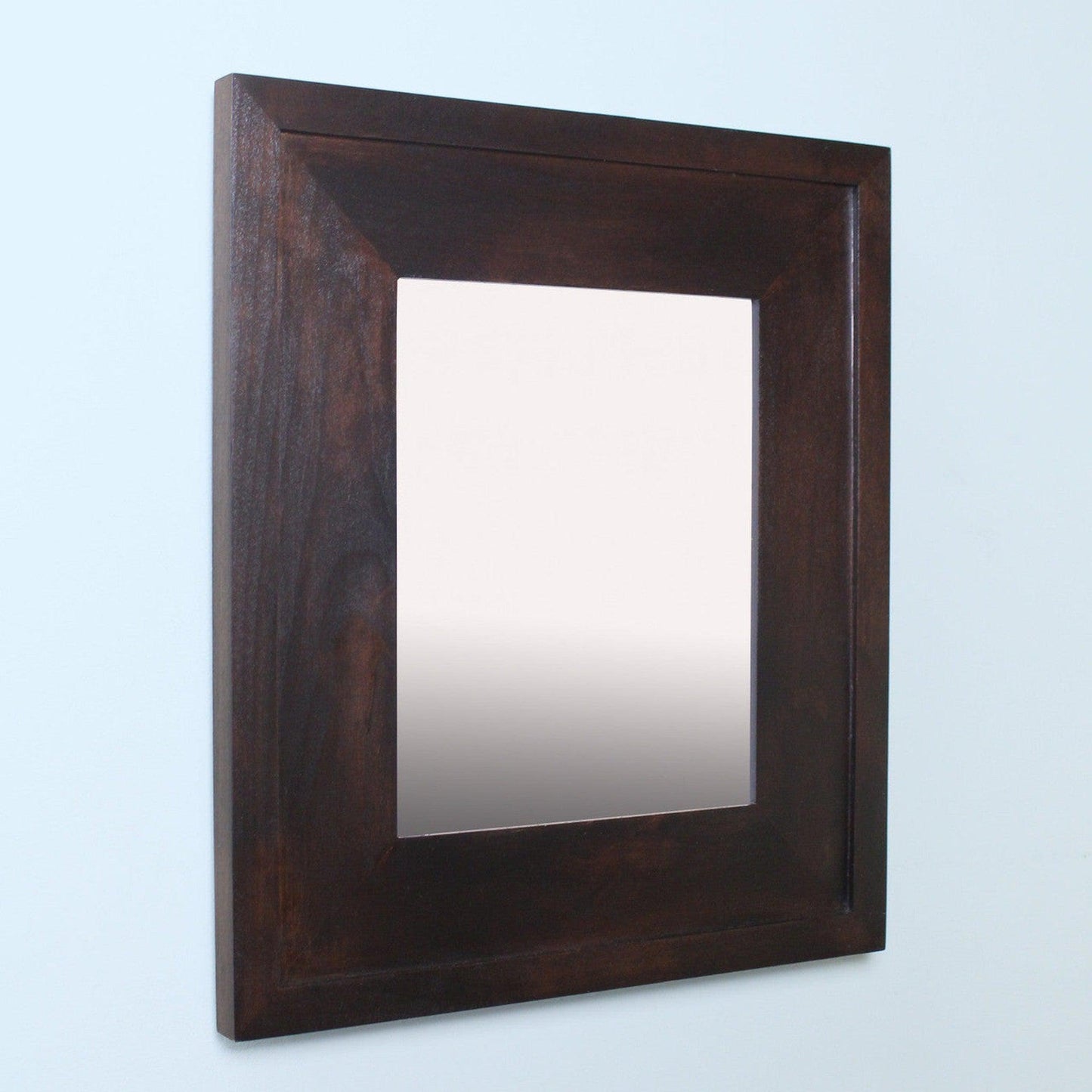 Fox Hollow Furnishings 11" x 14" Coffee Bean Portrait Special 3" Depth Mirrored Medicine Cabinet