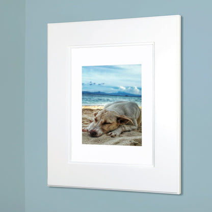 Fox Hollow Furnishings 13" x 16" White Regular Shaker Style Standard 3.75" Depth Recessed Picture Frame Medicine Cabinet