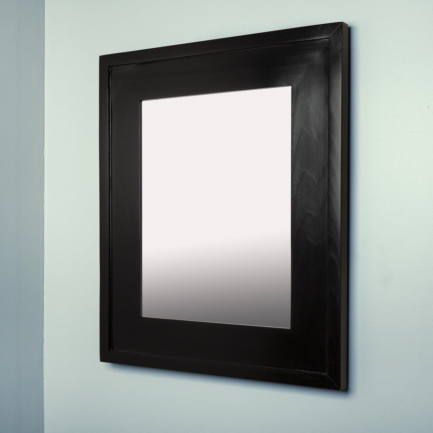 Fox Hollow Furnishings 14" x 18" Black Special 3" Depth White Interior Mirrored Medicine Cabinet