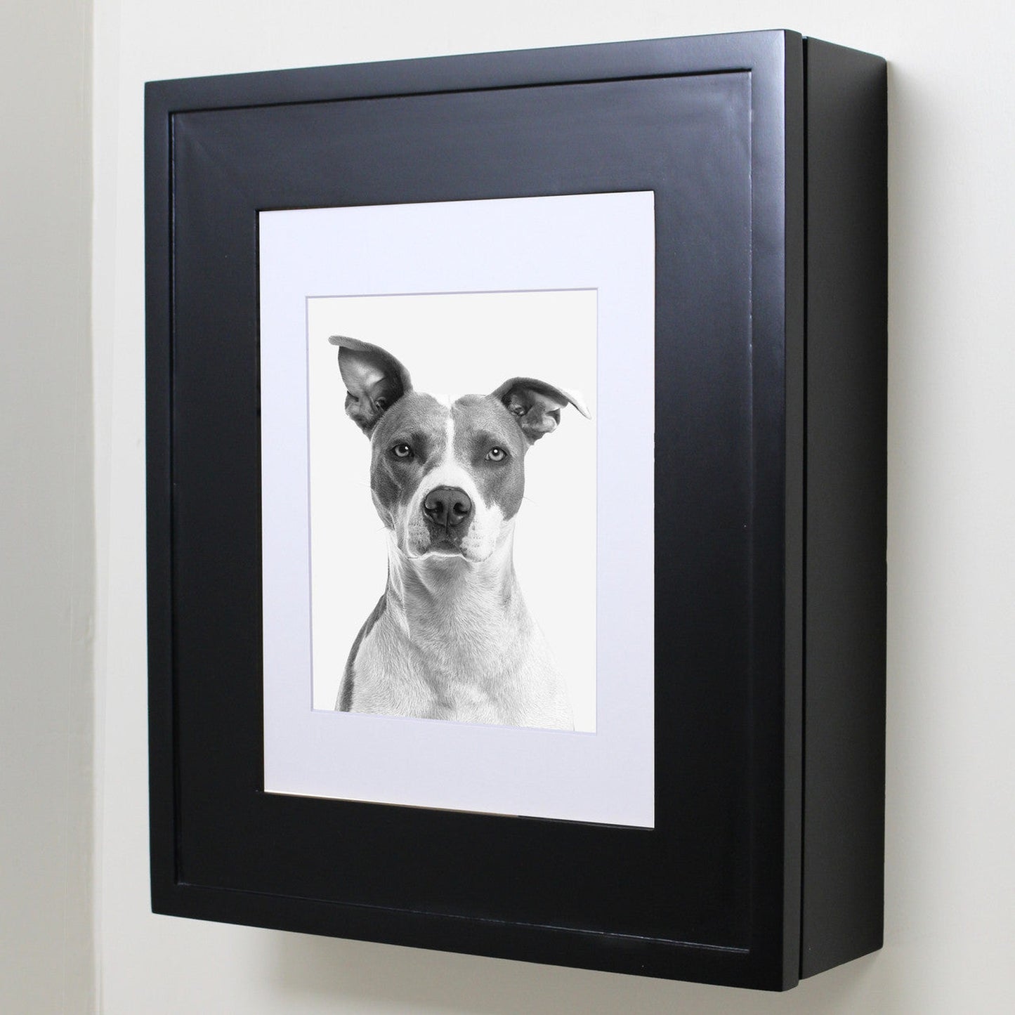 Fox Hollow Furnishings 20" x 17" Black Wall Mount Picture Frame Medicine Cabinet With Black 8" x 10" Matting