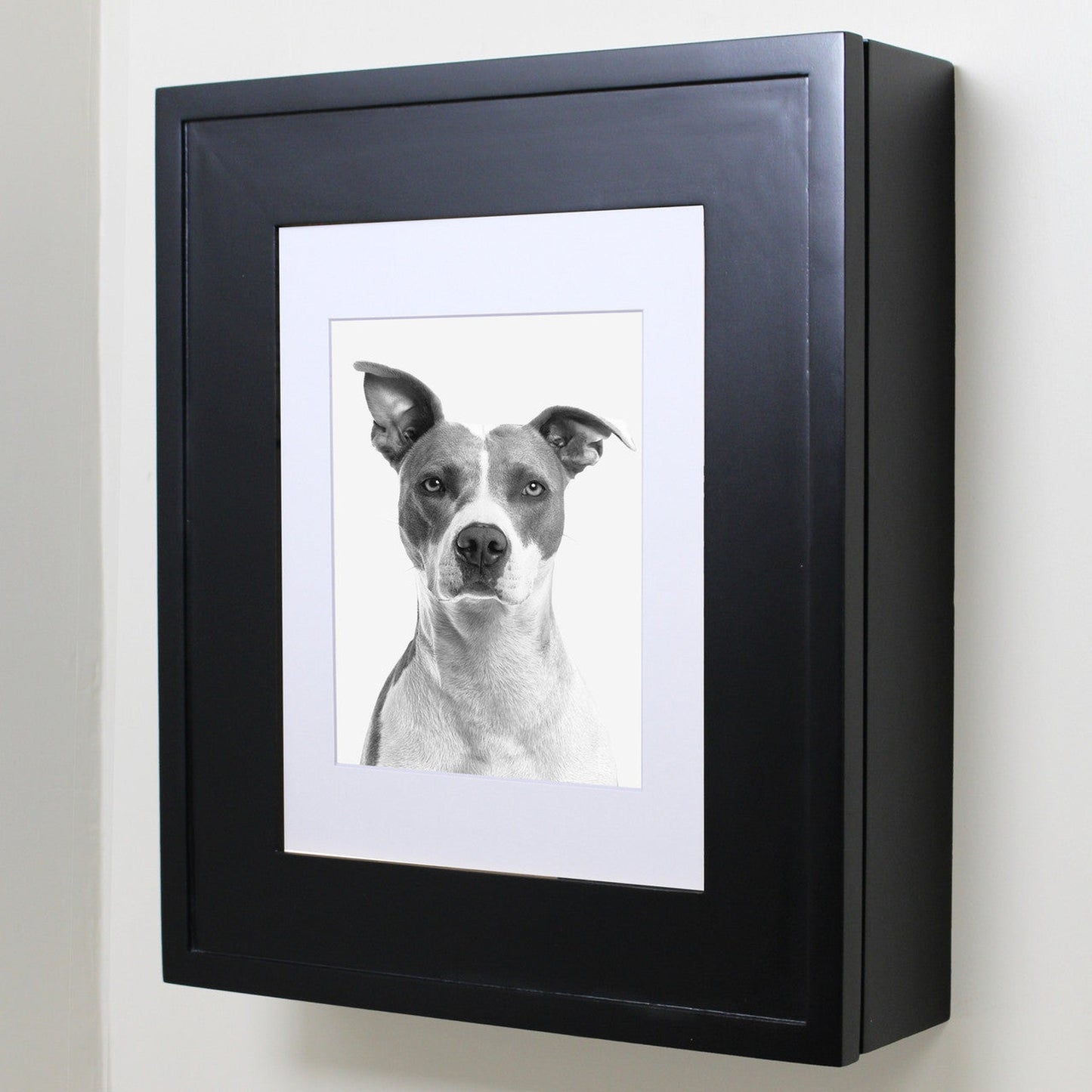 Fox Hollow Furnishings 20" x 17" Black Wall Mount Picture Frame Medicine Cabinet With Mirror and Ivory 8" x 10" Matting
