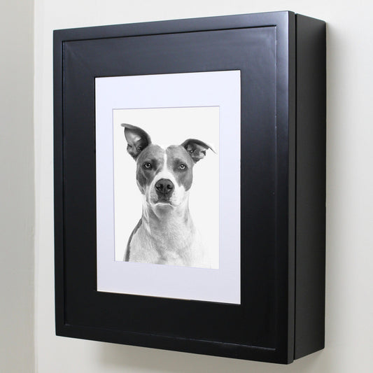 Fox Hollow Furnishings 20" x 17" Black Wall Mount Picture Frame Medicine Cabinet With White 8" x 10" Matting