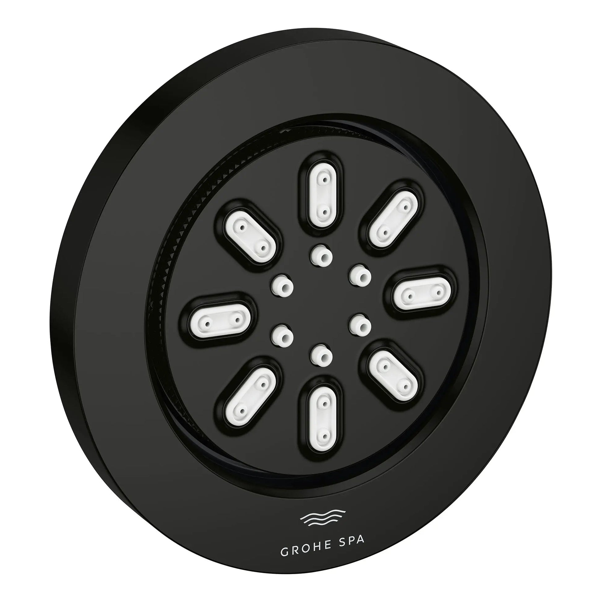 Grohe Rainshower Aqua 0.9 GPM 2-Spray Round Matte Black Body Spray
