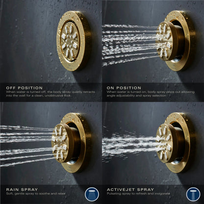 Grohe Rainshower Aqua 0.9 GPM 2-Spray Round StarLight Chrome Body Spray