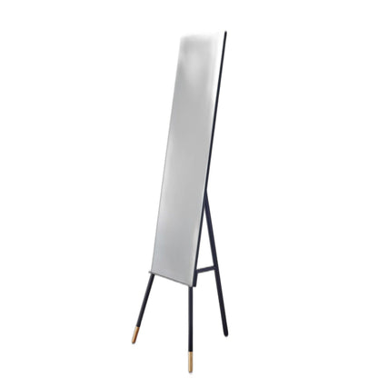 HomeRoots 17' x 17' x 56.75' Black Floor Mirror