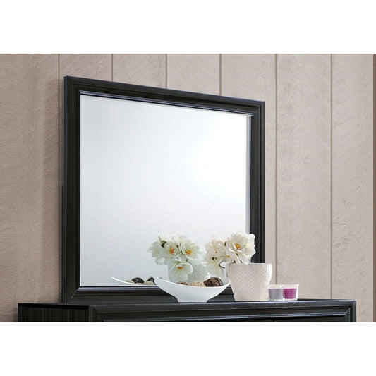 HomeRoots 47' x 1' x 36' Black Glass Mirror