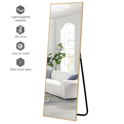 HomeRoots 64" Sleek Gold Frame Full Length Mirror