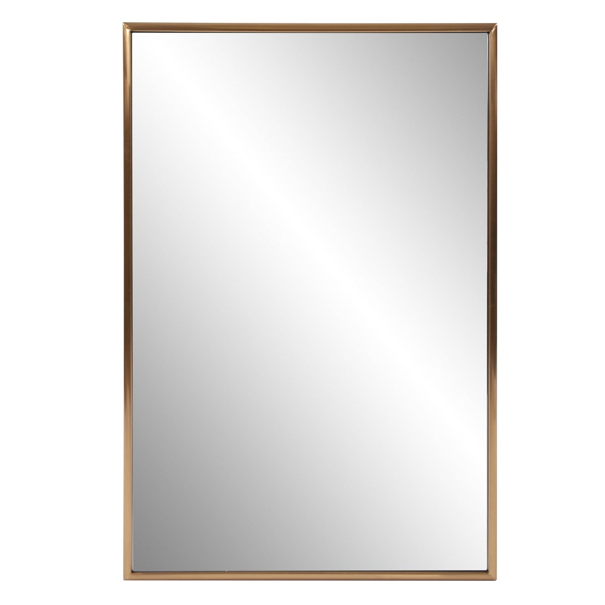 HomeRoots Antiqued Brushed Brass Rectangular Wall Mirror