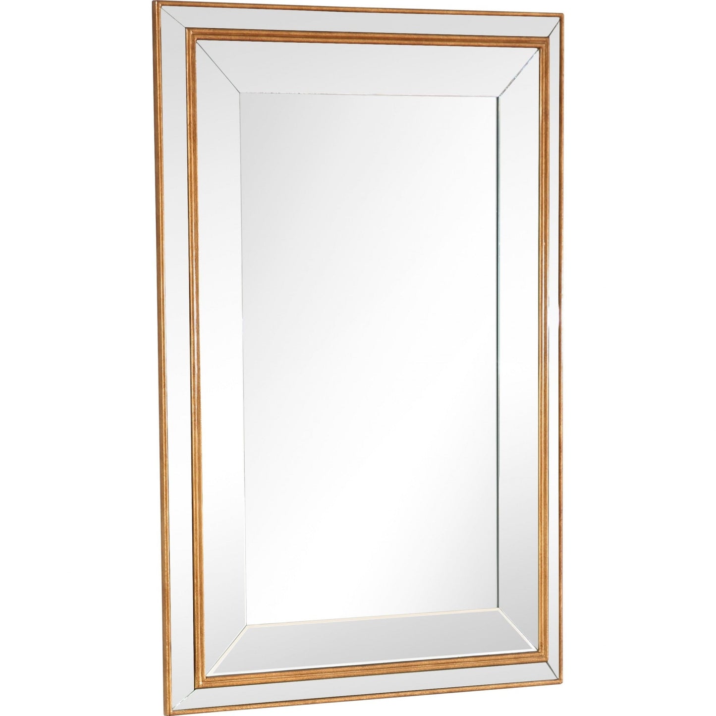 HomeRoots Antiqued Gold Finish Wall Mirror
