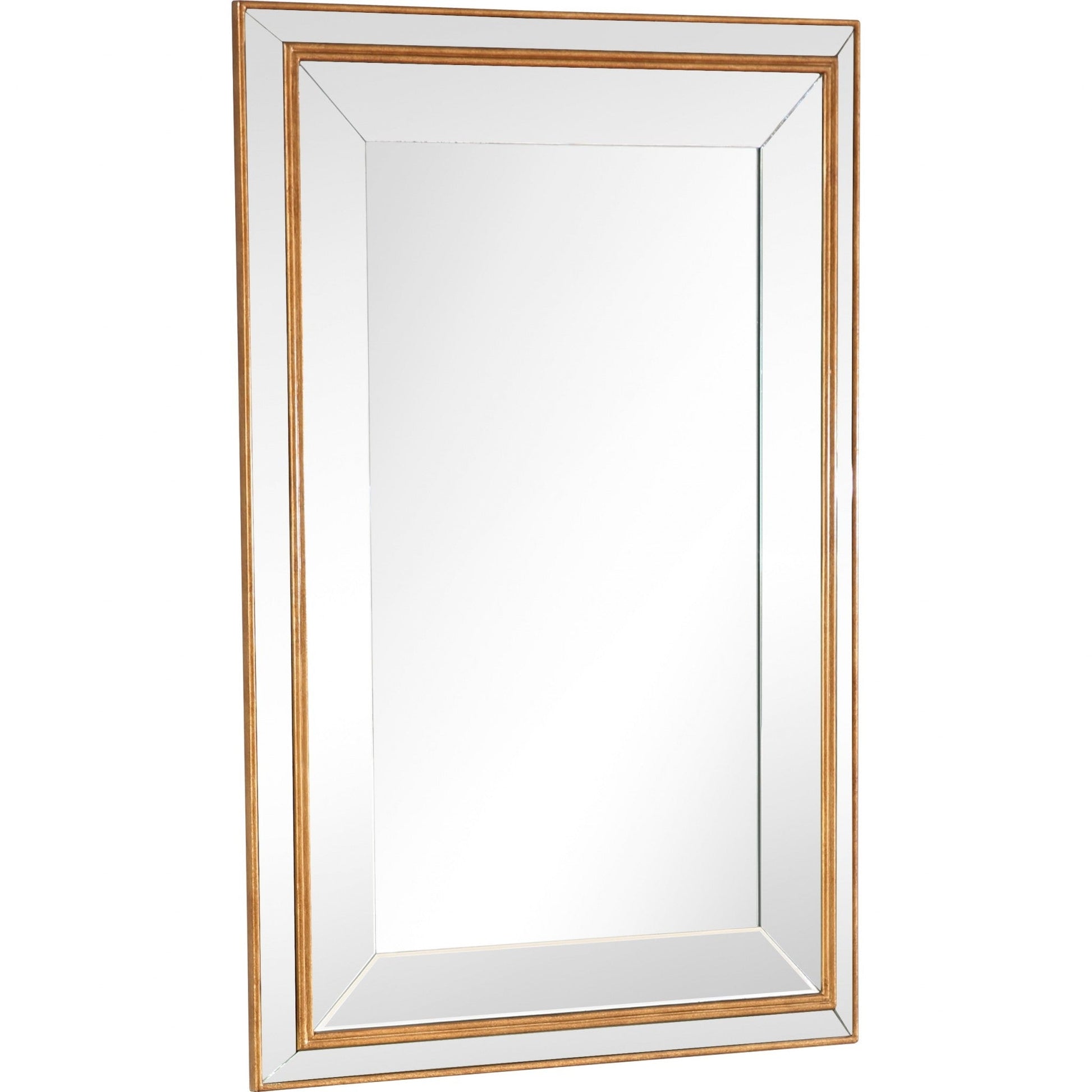 HomeRoots Antiqued Gold Finish Wall Mirror