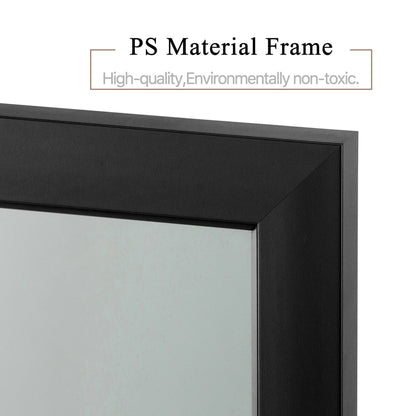 HomeRoots Black Door Mount Mirror