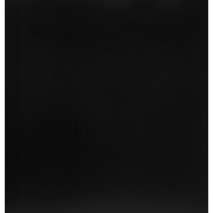 HomeRoots Black Mirror with Rectangular Sleek Wood Trim