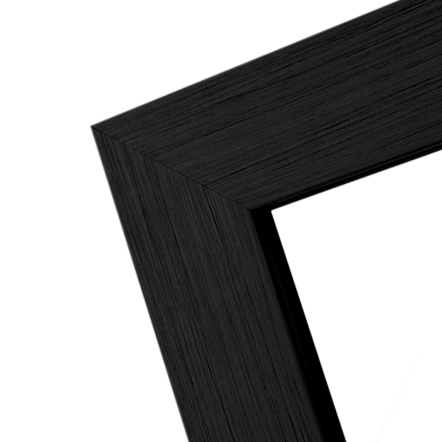 HomeRoots Black Wide Rectangular Mirror