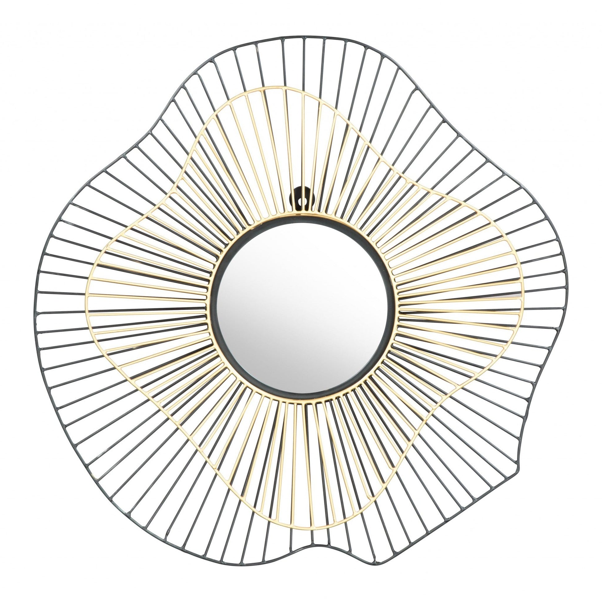 HomeRoots Black and Gold Contemporary Round Mirror