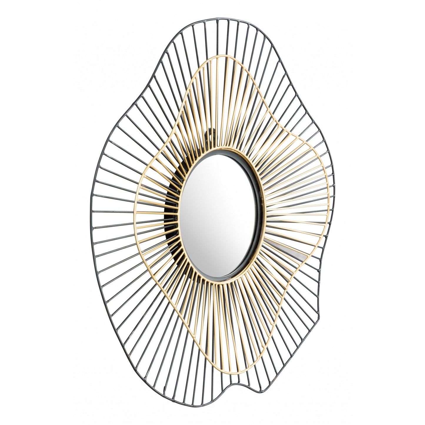 HomeRoots Black and Gold Contemporary Round Mirror