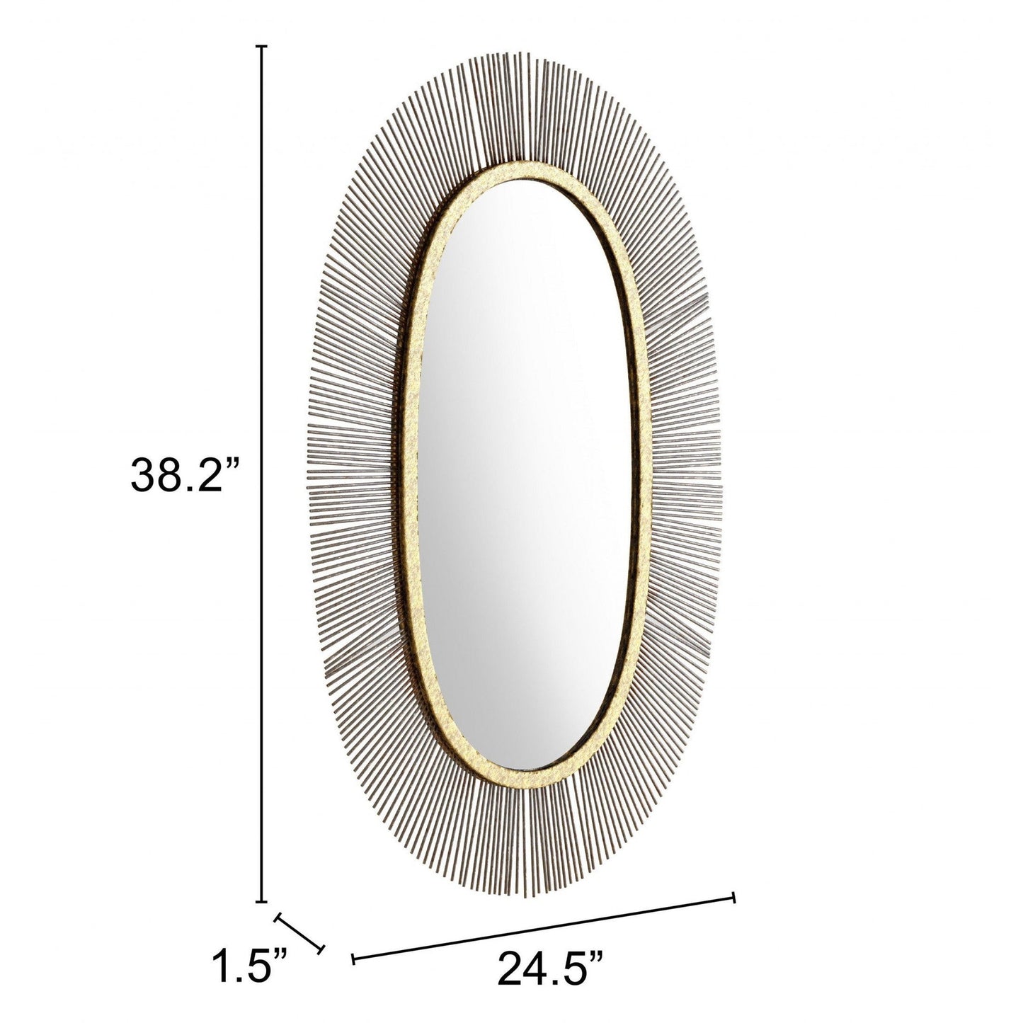 HomeRoots Black and Gold Oval Mirror