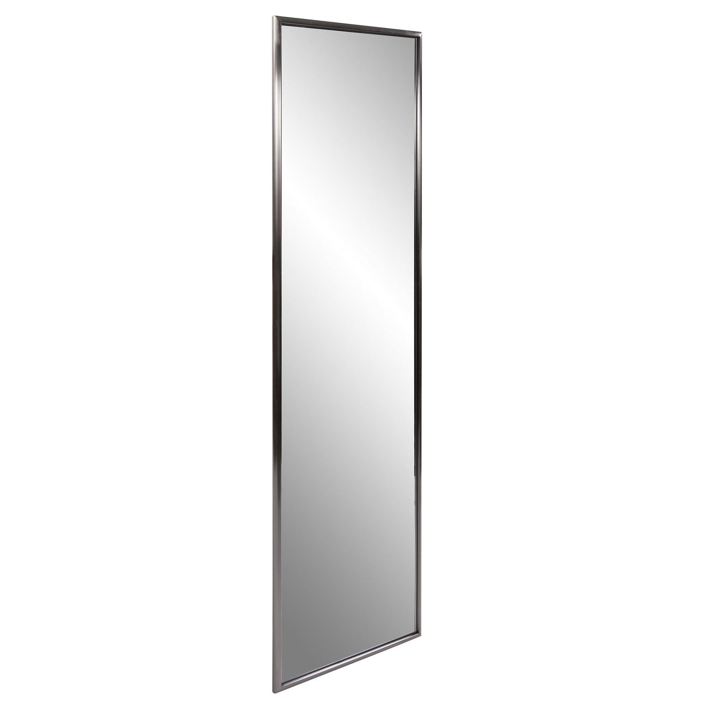 HomeRoots Brushed Titanium Rectangular Full Length Wall Mirror