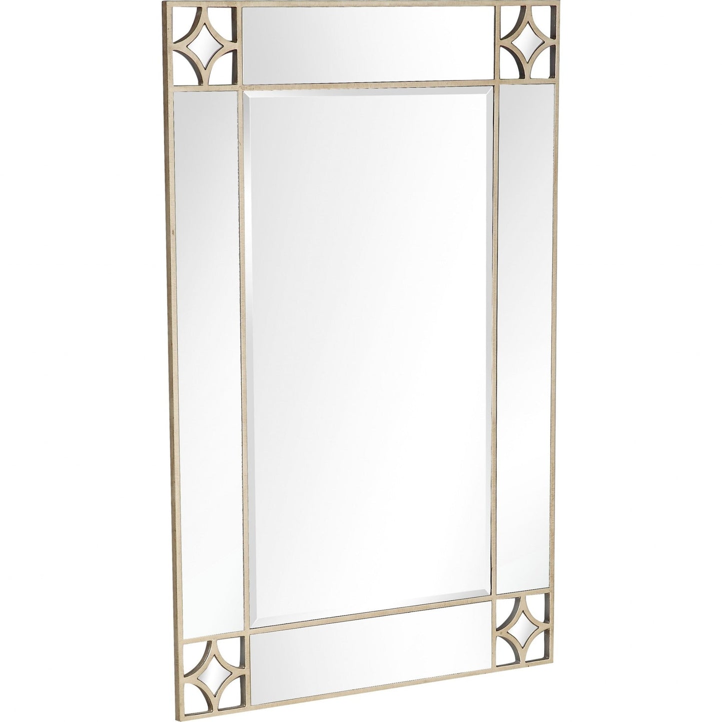 HomeRoots Champagne Finish Wall Mirror
