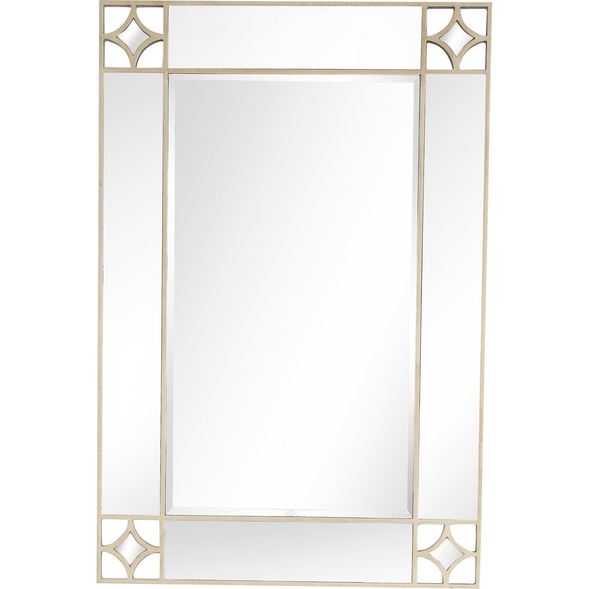 HomeRoots Champagne Finish Wall Mirror