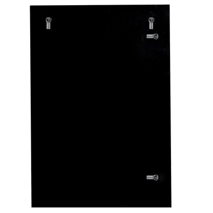 HomeRoots Contemporary Design Wall Mirror